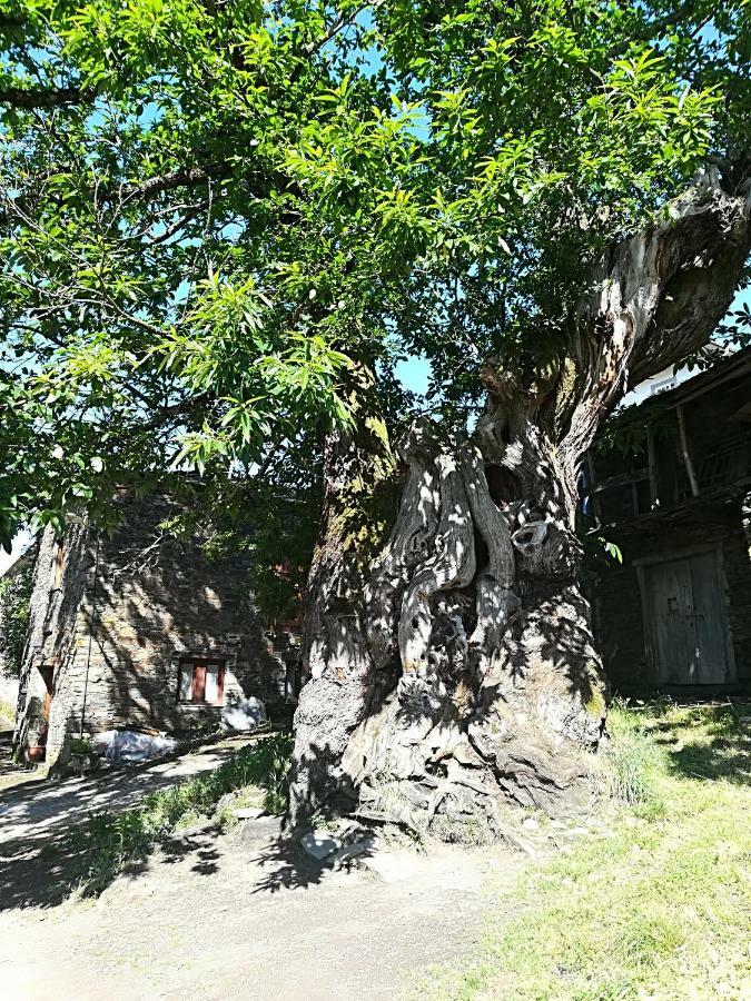 Casa Simon Otel Tríacastela Dış mekan fotoğraf